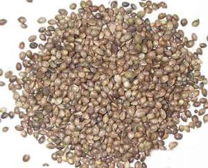 Hemp Seeds 