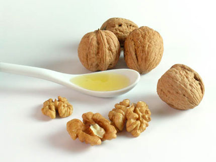 Healthy Natural Walnut Oil Is Recommended for You Healthy Natural Walnut Oil Is Recommended for You