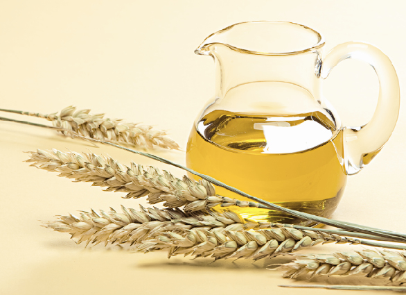 Organic Wheat Germ Oil 